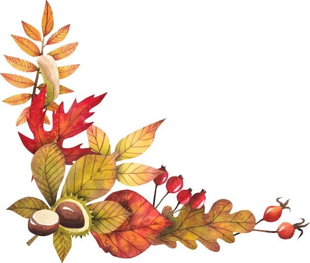 Vetor quadro de folhas de outono pintado por aquarela, isolado, desenho de outono