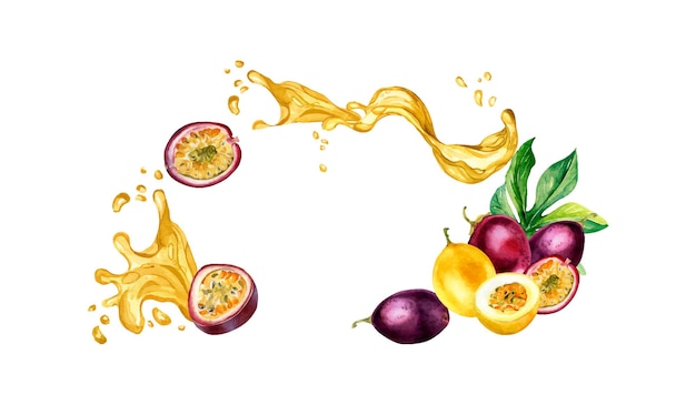 Quadro de frutas tropicais e ilustração de aquarela de respingo de suco isolada em maracujá branco