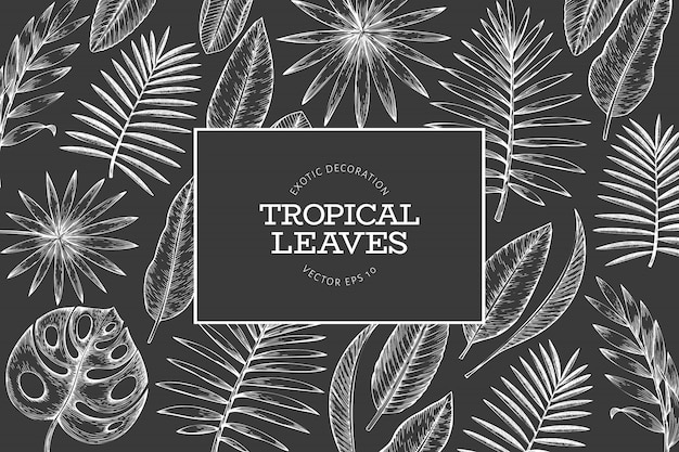 Quadro de plantas tropicais. mão desenhada verão tropical folhas exóticas ilustração