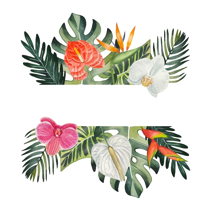 Vetor quadro desenhado à mão com folhas e flores tropicais aquarela