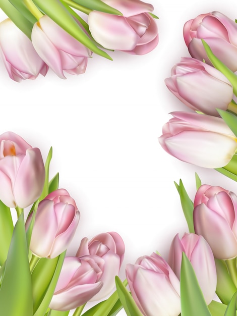 Quadro floral primavera com tulipa