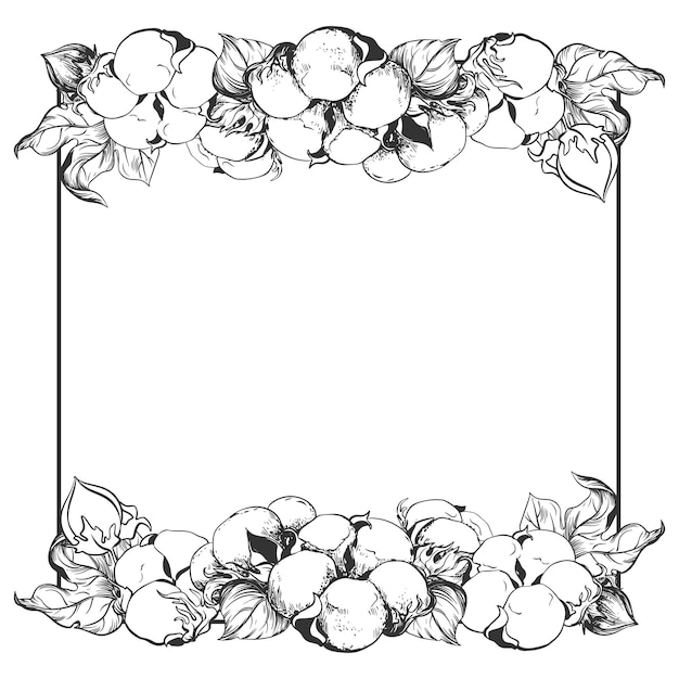 Vetor quadro quadrado feito de flores de algodão com espaço para texto desenho à mão vetorial em estilo de gravura esboço de tinta para envoltura desenho linear imita a técnica de gravura