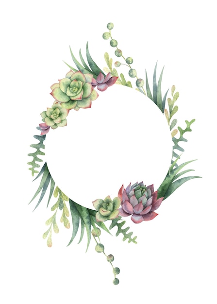 Quadro vetorial aquarela de cactos e plantas suculentas isoladas em fundo branco