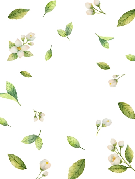 Vetor quadro vetorial aquarela de flores e galhos jasmine isolado em um fundo branco