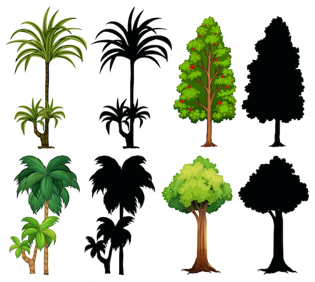 Vetor quatro plantas diferentes com silhueta