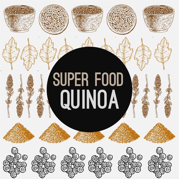 Vetor quinoa