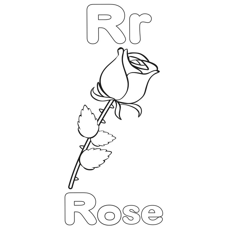 Vetor r para rose