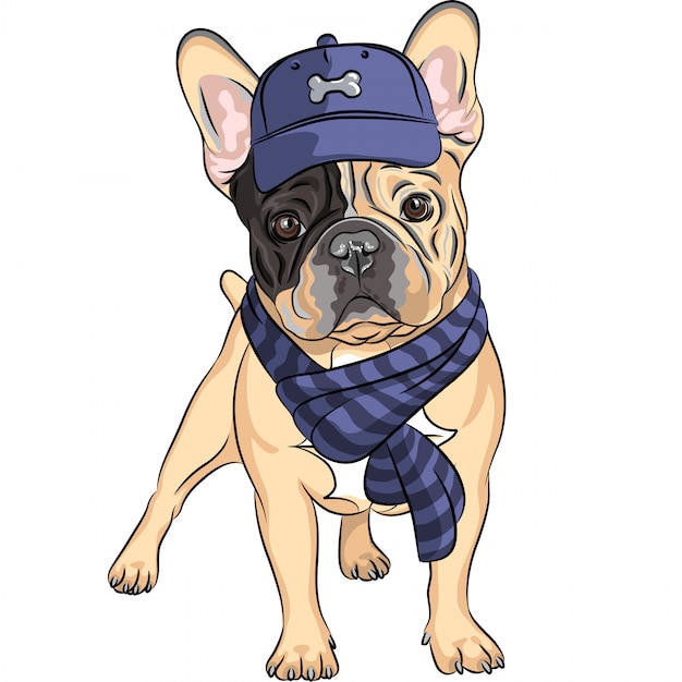 raça engraçada do buldogue francês do cão dos desenhos animados