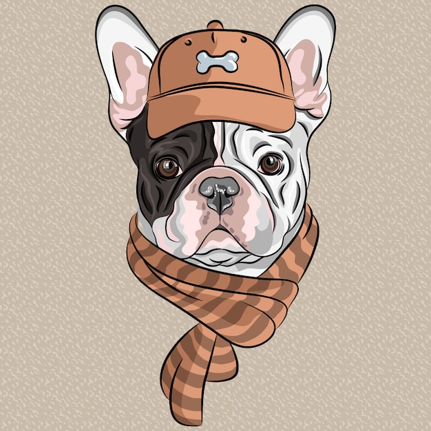 raça engraçada do buldogue francês do cão dos desenhos animados