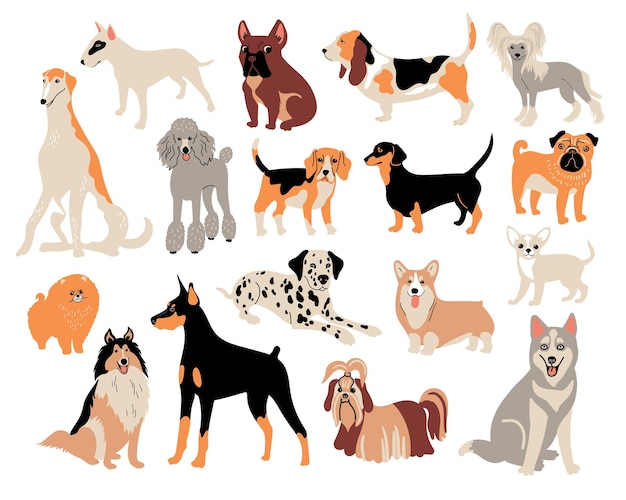 Raças de cães de desenho vetorial. Ilustração bonito do doodle. Conjunto de diferentes personagens de cães