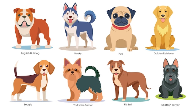 Raças de cães famosas: pitbull, retriever, pug, beagle, bulldog, yorkshire, husky, scottish terrier
