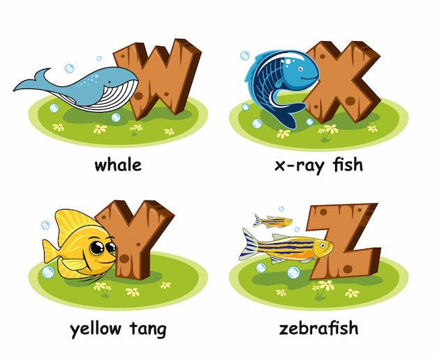 Raio x baleia peixe tetra zebrafish tang amarelo alfabeto madeira