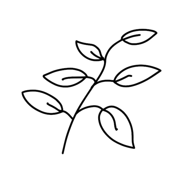 Ramo com folhas planta natureza doodle desenhos lineares