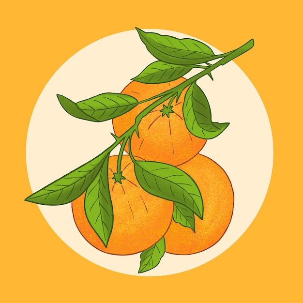 Ramo com frutas e folhas de laranja Frutos cítricos suculentos tropicais frescos
