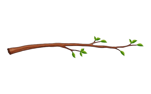 Ramo de árvore plantas frondosas galho vegetação fresca arbusto decíduo brota em vetor de fundo branco