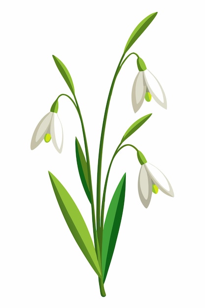Ramo de cenoura de neve com ilustração vetorial de flores em fundo branco