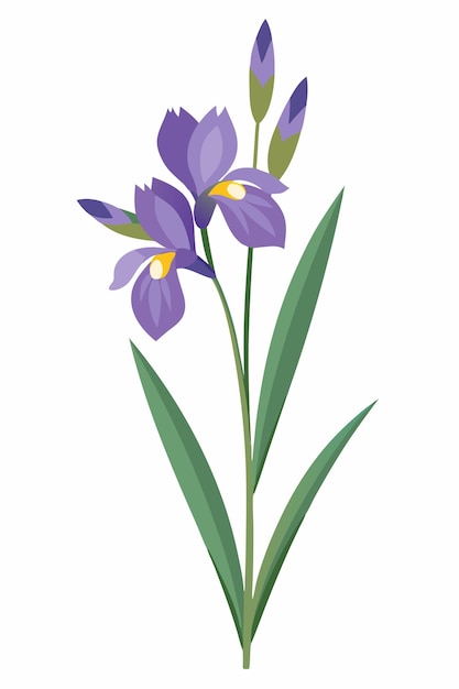 Ramo de íris com flores Ilustração vetorial em fundo branco Design de arte floral