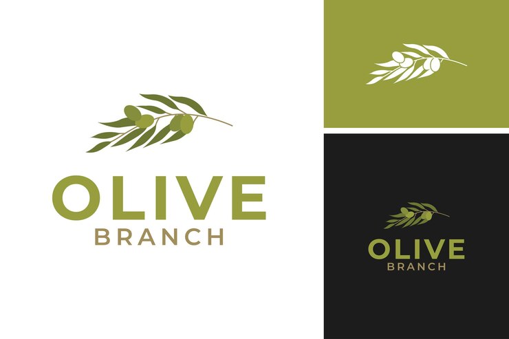 Vetor ramo de oliveira para óleo de oliva ou planta orgânica natural botânica verde logotipo de design de modelo vetorial ideia de ilustração