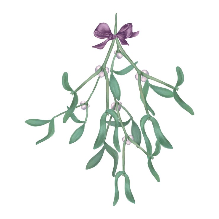 Vetor ramo de visco com bagas e arco ilustração digital aquarela isolada planta de natal