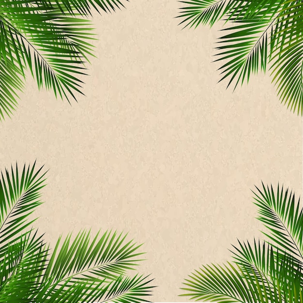 Ramo tropical verde isolado com fundo de areia de praia