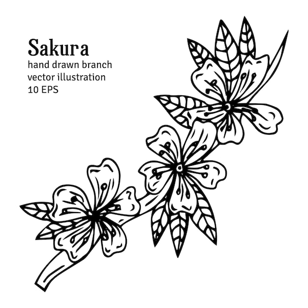 Ramos de cereja desenhados à mão com flores, livro de colorir preto e branco silhueta da planta sakura