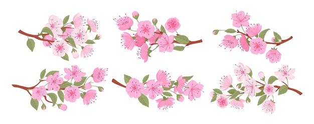 Vetor ramos de sakura em flor primavera árvore de cereja japonesa flores e botões de sakura conjunto de ilustrações vetoriais planas coleção tradicional de ramos de flores asiáticas