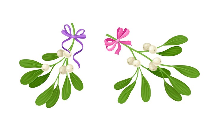 Vetor ramos de snowberry com bagas maduras decoradas com arcos roxos e cor-de-rosa pequenos galhos de arbusto com ilustração vetorial de frutas brancas