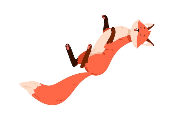 Vetor raposa engraçada bonita deitada de costas. animal selvagem feliz da floresta relaxante. personagem adorável bebê preguiçoso descansando com a barriga para cima. filhote de raposa laranja sorridente. ilustração em vetor plana isolada no fundo branco.