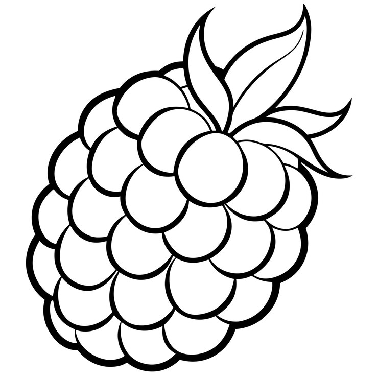 Vetor raspberry contorno livro de colorir página linha arte ilustração desenho digital