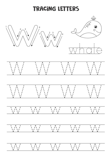Rastrear letras do alfabeto inglês. W. maiúsculas e minúsculas prática de escrita para crianças em idade pré-escolar.