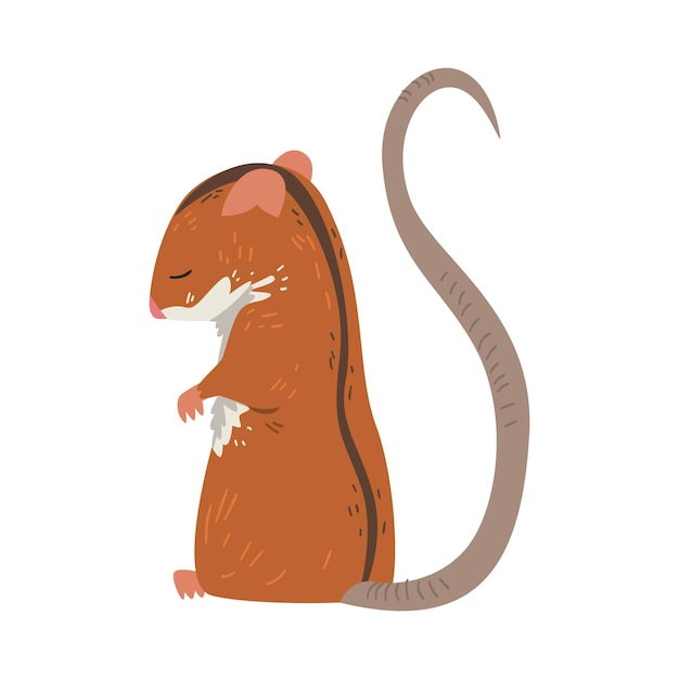 Rato de campo de pé em pernas traseiras animal roedor vermelho bonito com faixa preta em sua parte de trás vetor