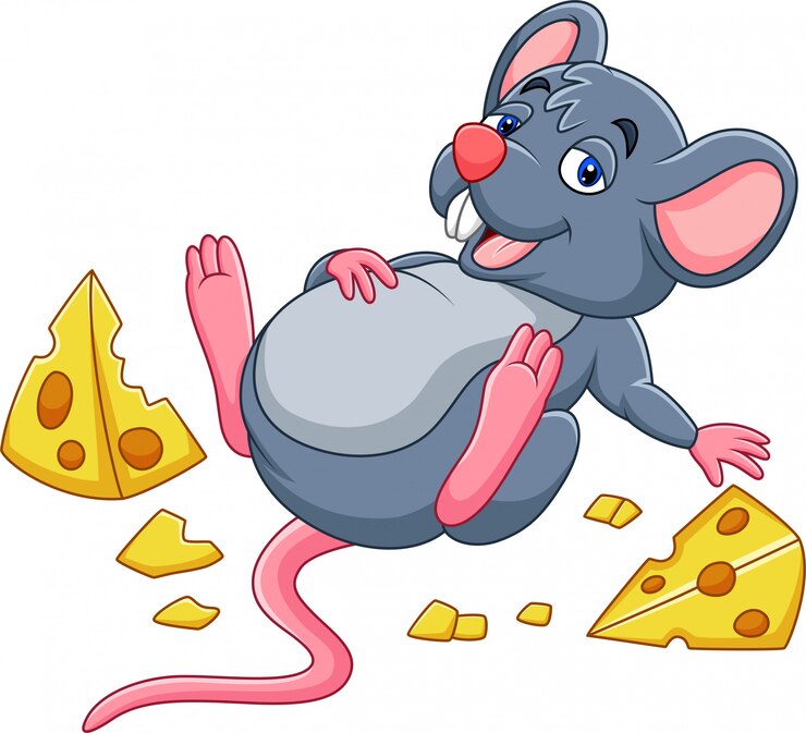 Vetor rato de desenhos animados com um queijo e barriga cheia