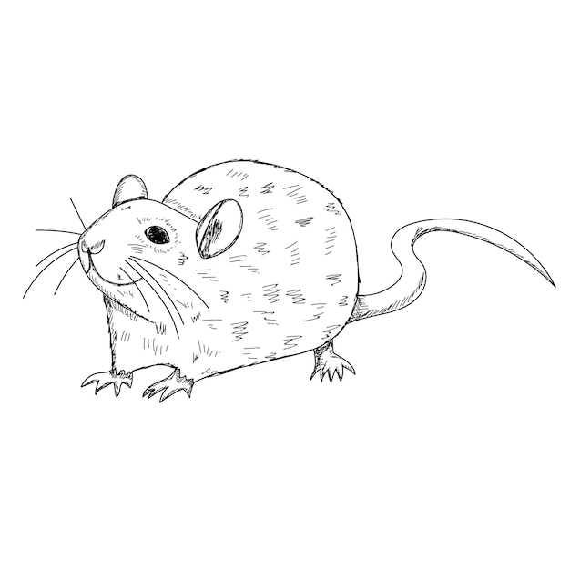 Vetor rato de rato de esboço de desenho vetorial