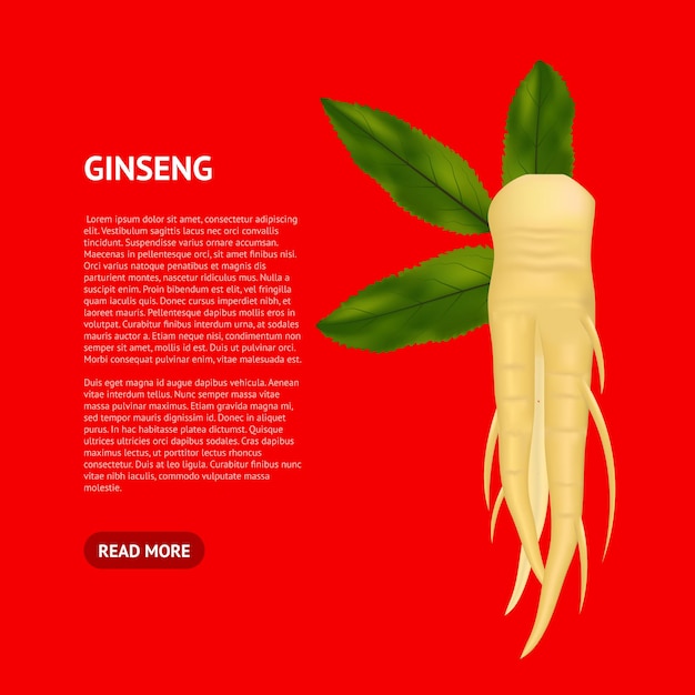 Realista detalhado 3d ginseng raiz e folhas cartão medicina vegetal símbolo asiático de saúde e energia ilustração vetorial de tintura de ingredientes naturais