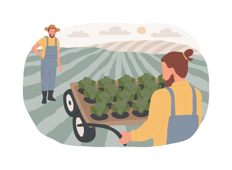 Vetor reduzindo ilustrações vetoriais de desenhos animados isolados de lavoura