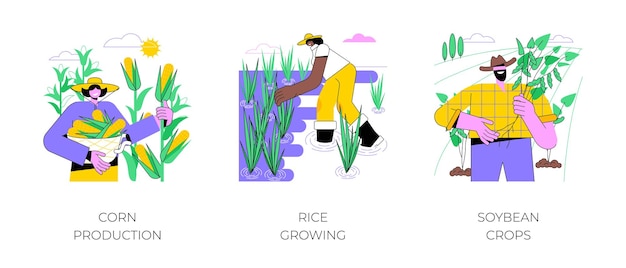 Refino de ilustrações vetoriais isoladas de desenhos animados de produtos agrícolas