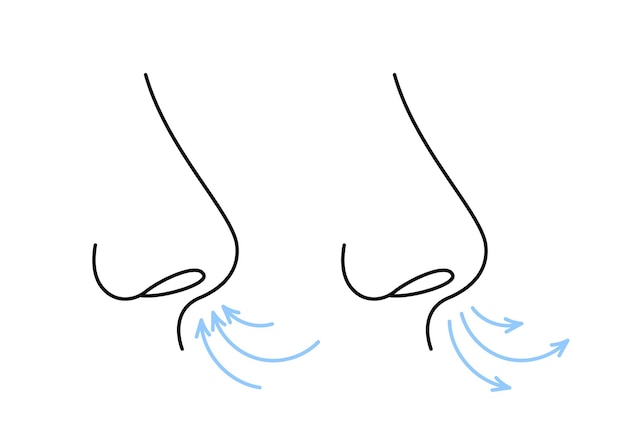 Respiração nasal exercício de respiração nariz expire profundamente inspire respiração nasal ciclo respiratório vetor saudável