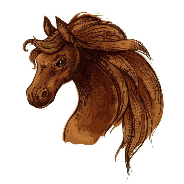 Retrato de esboço de cabeça de cavalo mustang