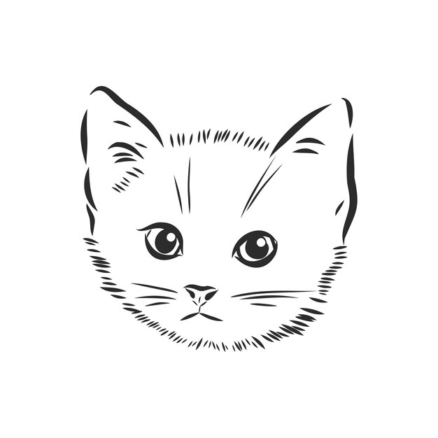 Retrato de um gatinho, animal de estimação, ilustração de desenho vetorial