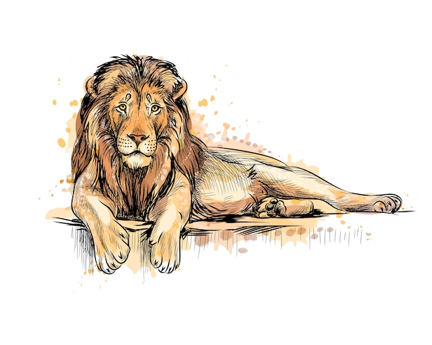 Retrato de um leão de um toque de aquarela, esboço desenhado à mão. ilustração de tintas