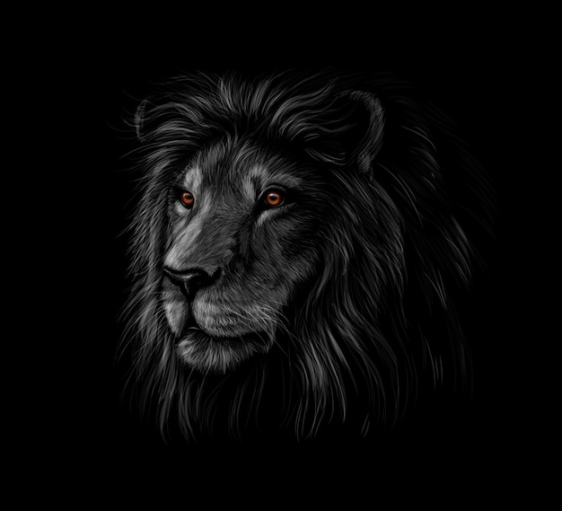 Retrato de uma cabeça de leão em um fundo preto. Ilustração vetorial