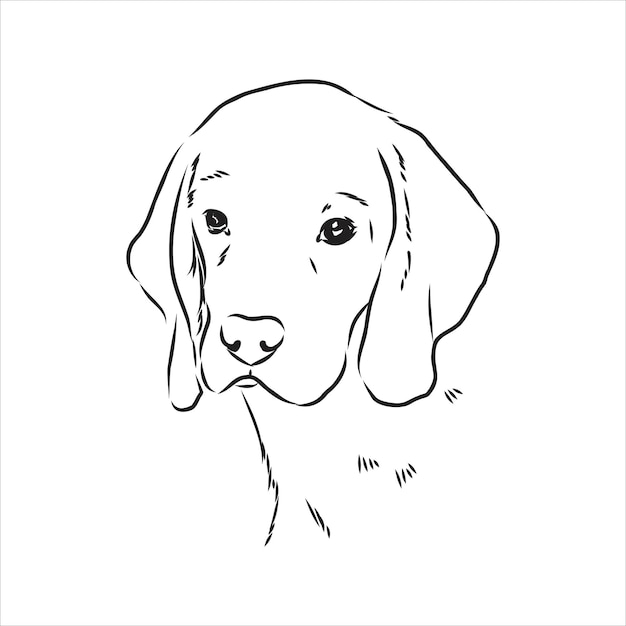 Retrato decorativo de pé em ilustração vetorial de beagle de perfil na cor preta