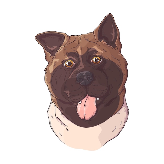 Retrato desenhado à mão de um cão akita