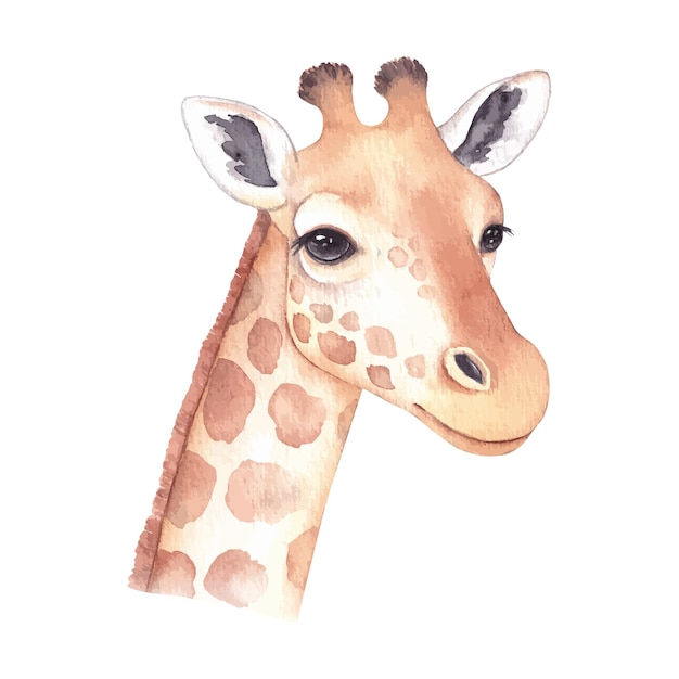 Retrato em aquarela desenhado à mão de girafa