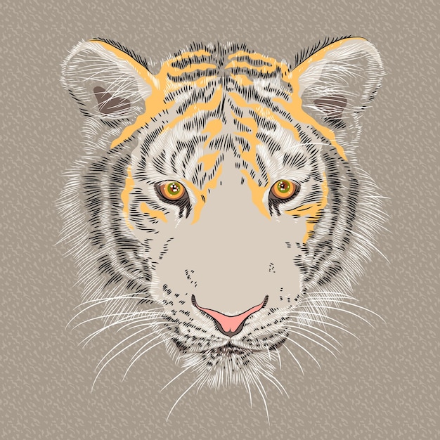 Vetor retrato vetorial aproximado de um tigre sério