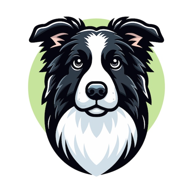 Retratos de desenhos animados vetoriais de um Border Collie com um fundo isolado Ilustração de cão inteligente