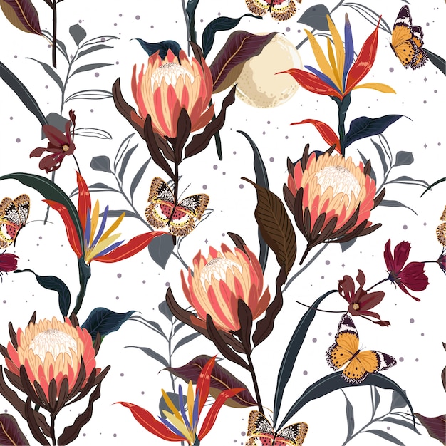 Retro Protea flores botânica sem costura padrão vector