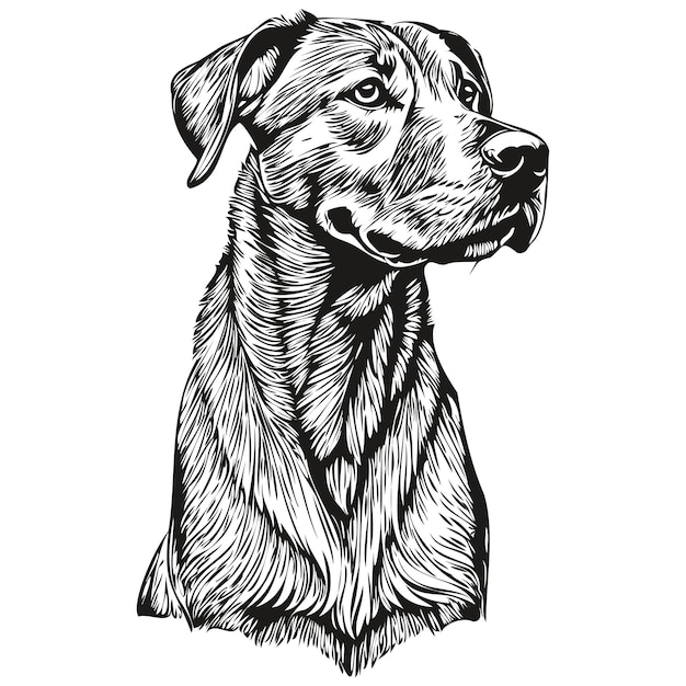 Rhodesian ridgeback cão preto desenho vetor isolado pintura facial esboço linha ilustração