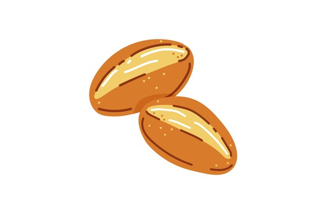 Vetor rolos de pão para brunch na alemanha ou pães de domingo ilustração vetorial