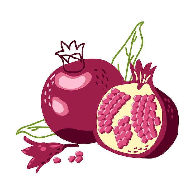 Romã madura inteira e cortada fruta saudável ilustração desenhada à mão isolada em fundo branco